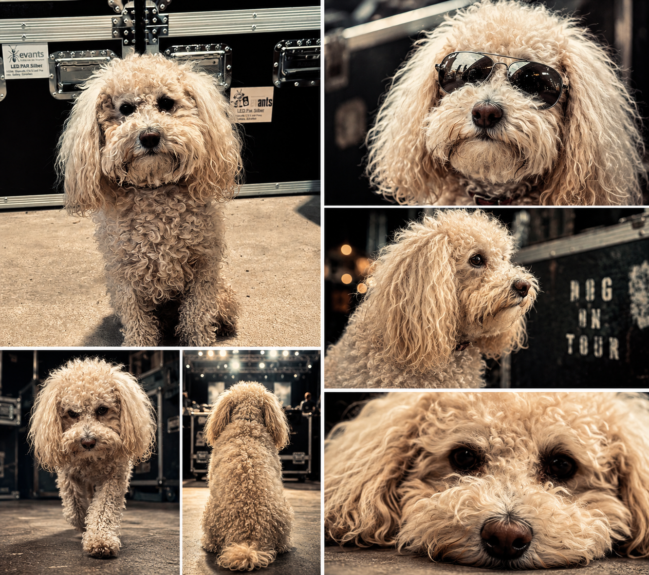 Charly